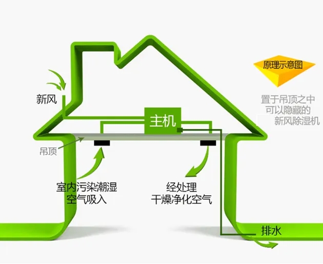 src=http___www.chinazedo.com_Upload_cc201709201813424553.jpg&refer=http___www.chinazedo.webp.jpg